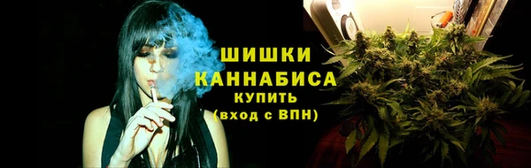 МДПВ Елизово