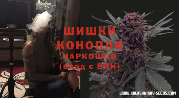 МДПВ Елизово